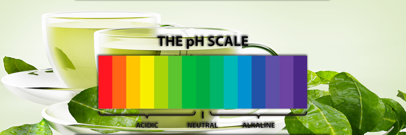 Is Matcha green tea alkaline or acidic?