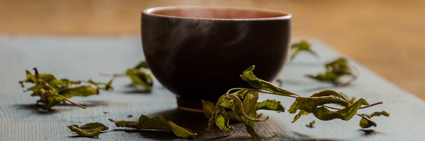 Benefits to Drinking Green Tea